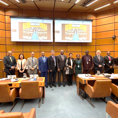 IAEA officials, Ambassadors and Panellists at the opening session of the side-event on food security and safety in Africa: (Photo: B. Asoro / IAEA)